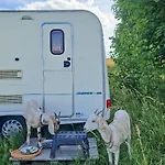 Camp Gorzelnia Gwiezdzin