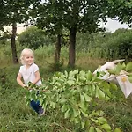 مكان تخييم Camp Gorzelnia