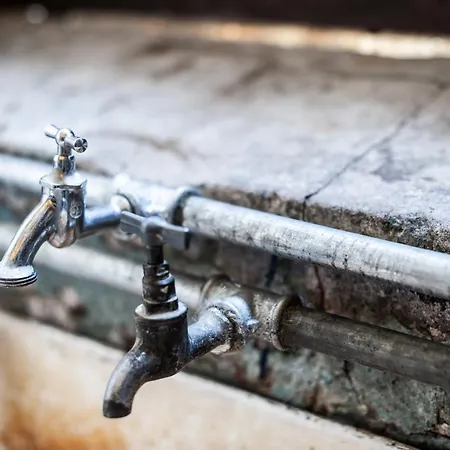 Camp Gorzelnia キャンプ場