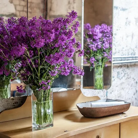 Camp Gorzelnia キャンプ場 *