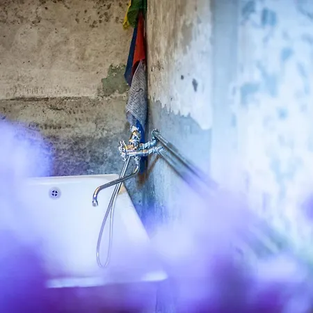 Camp Gorzelnia Campeggio