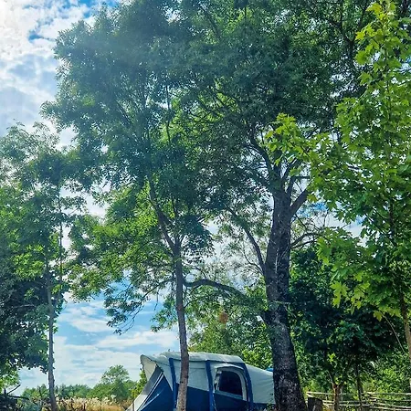 Camp Gorzelnia キャンプ場