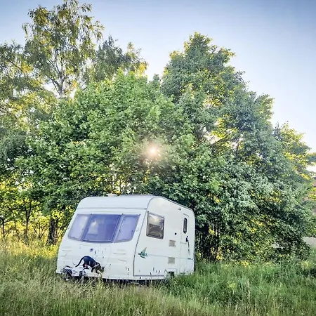 Camp Gorzelnia Gwieździn