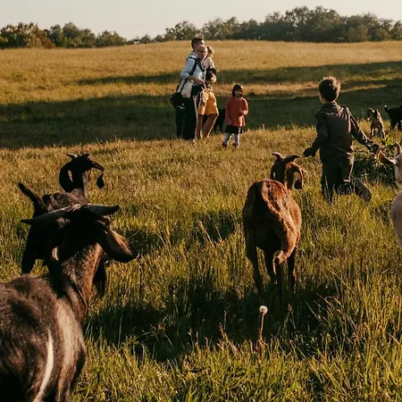 キャンプ場 Camp Gorzelnia