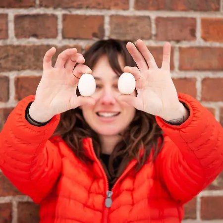 Camp Gorzelnia キャンプ場