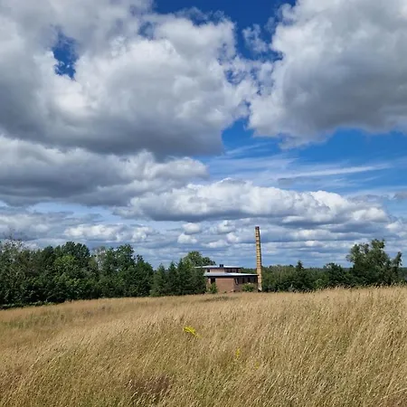 Camp Gorzelnia * Gwieździn