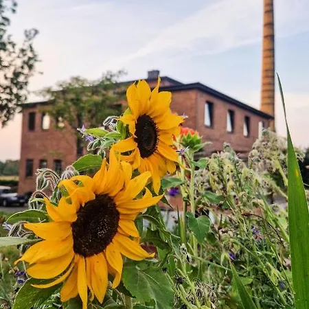 Camp Gorzelnia Gwieździn