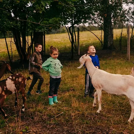 Camp Gorzelnia * Gwieździn