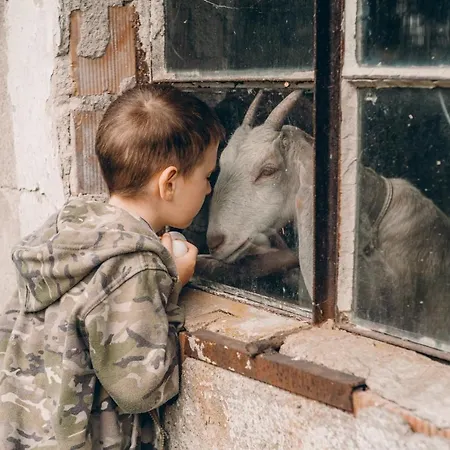 キャンプ場 Camp Gorzelnia