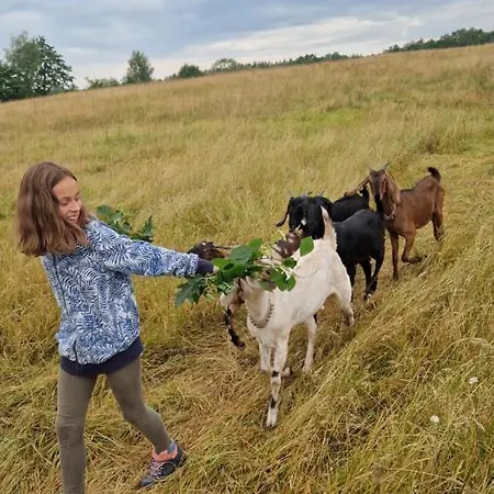 Camp Gorzelnia キャンプ場 Gwieździn