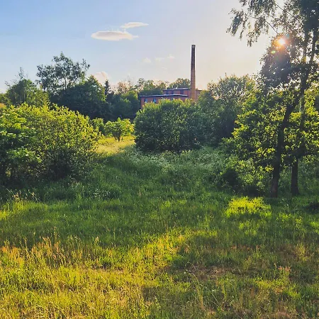 キャンプ場 Camp Gorzelnia *