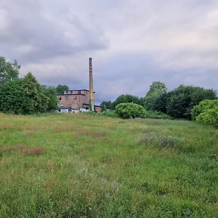 Camp Gorzelnia キャンプ場 Gwieździn