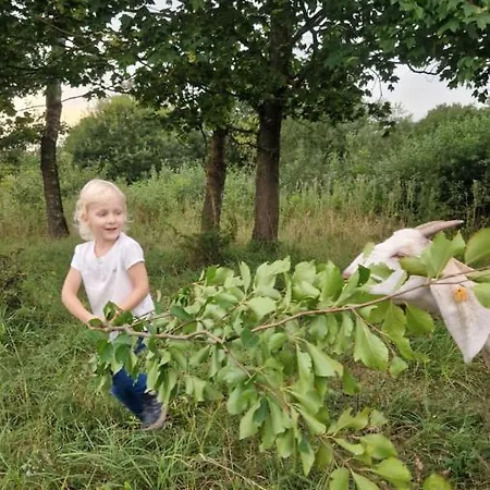 キャンプ場 Camp Gorzelnia