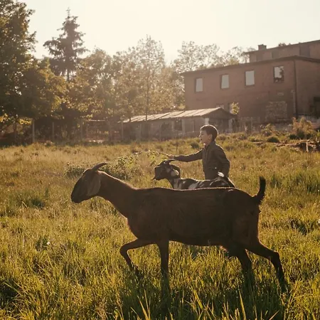 Camp Gorzelnia キャンプ場