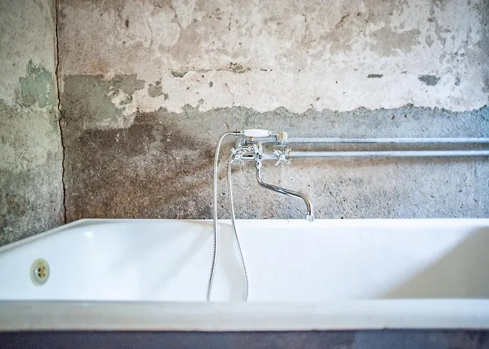 Camp Gorzelnia * Gwiezdzin