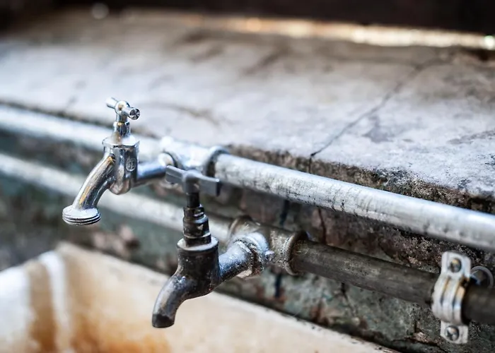 Camp Gorzelnia Kemping