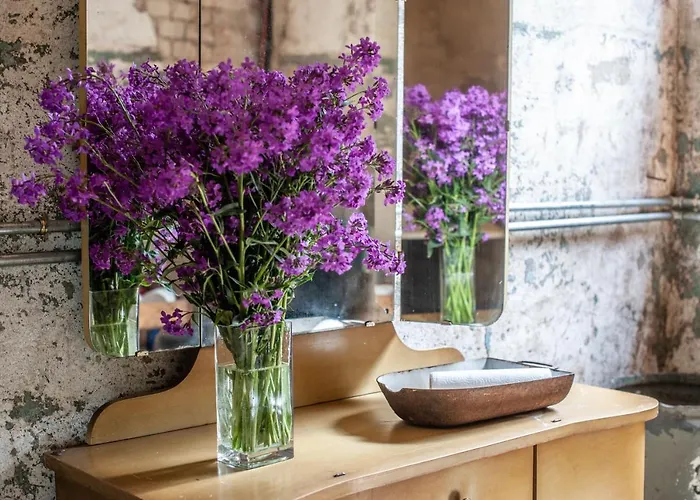 Camp Gorzelnia Kemping *