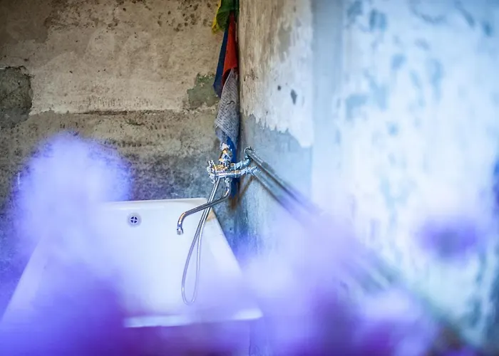 Camp Gorzelnia Camping