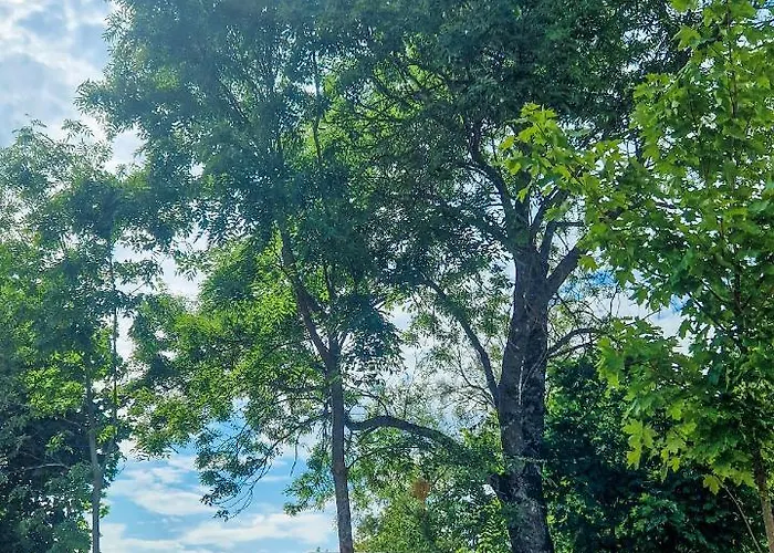 Camp Gorzelnia Kemping