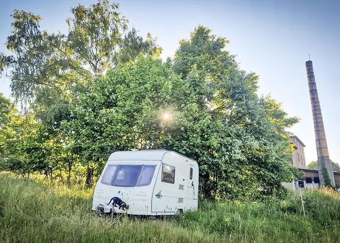 Camp Gorzelnia Gwiezdzin