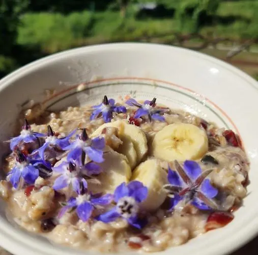 Camp Gorzelnia Kemping