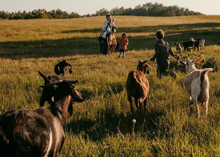 Kemping Camp Gorzelnia