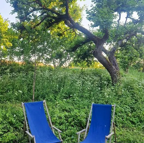 Camping Camp Gorzelnia