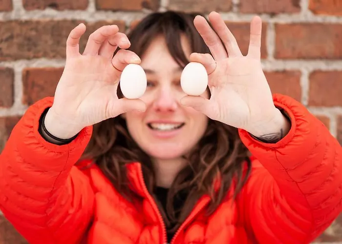 Camp Gorzelnia Kemping