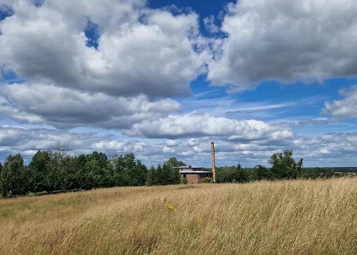 Camp Gorzelnia * Gwiezdzin