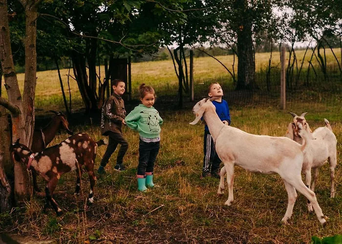 Camp Gorzelnia * Gwiezdzin