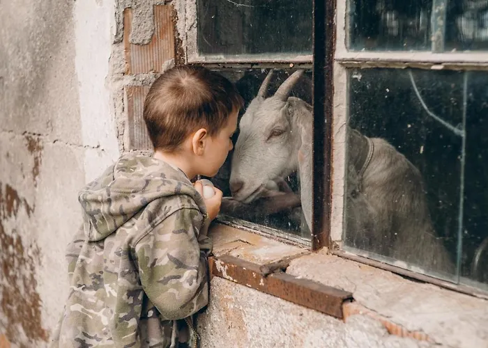 Kemping Camp Gorzelnia