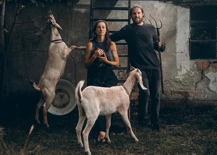 Camp Gorzelnia Kemping Gwiezdzin