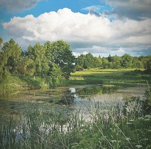 Camp Gorzelnia Camping