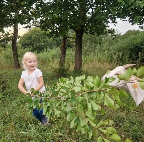 Camping Camp Gorzelnia