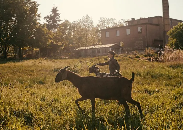 Camp Gorzelnia Kemping