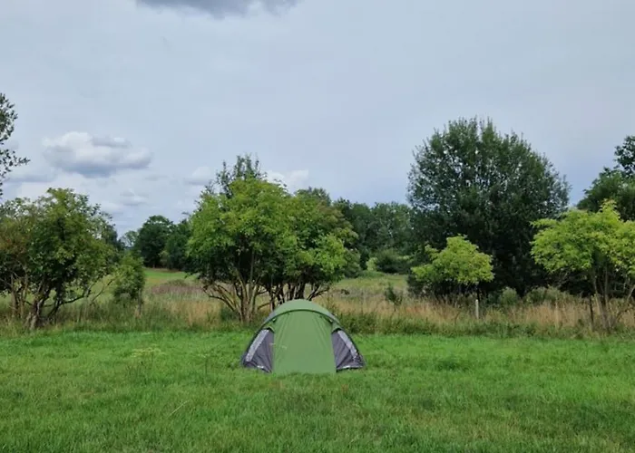 Camp Gorzelnia Gwiezdzin