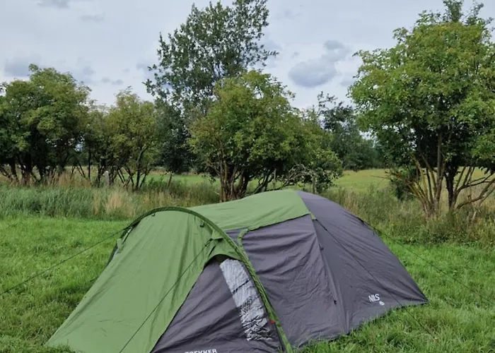 Camp Gorzelnia Kemping