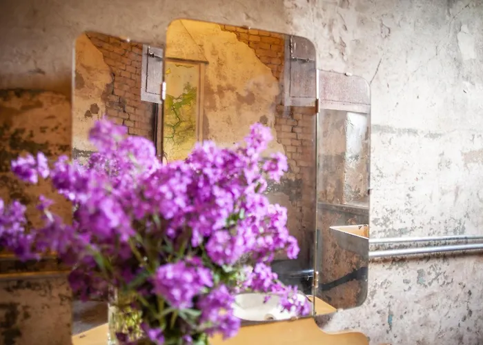 Camp Gorzelnia Gwiezdzin