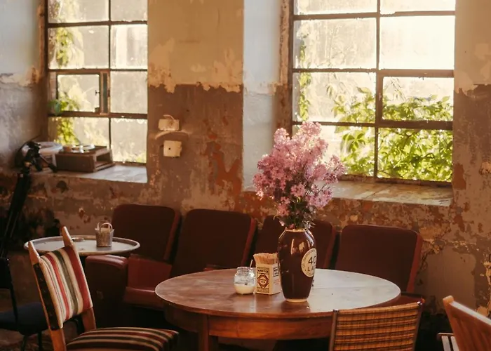 Kemping Camp Gorzelnia Gwiezdzin