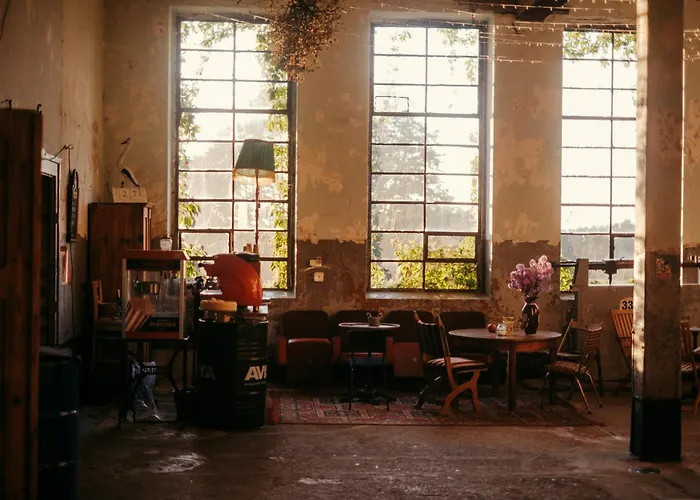 Camp Gorzelnia * Gwiezdzin